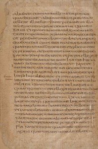 http://www.e-codices.unifr.ch/en/bnf/lat11641/6v/0/Sequence-204